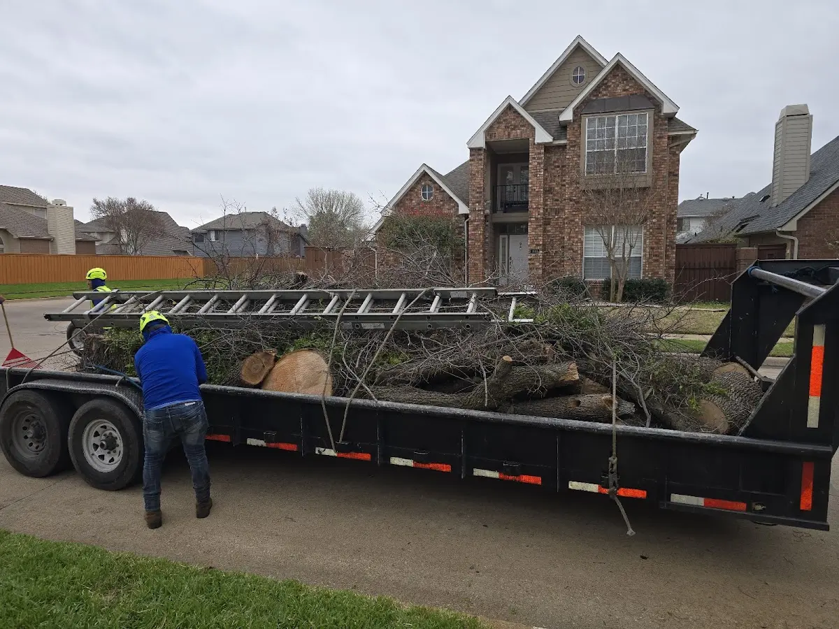 Expert Tree Pest Control with proper safety equipment in Lime Springs